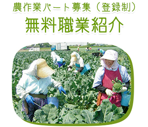 農作業パート募集（登録制）無料職業紹介